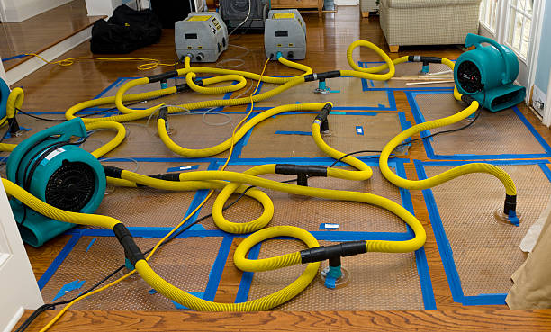 Professional Water Damage Restoration technician working in Maplewood, OH